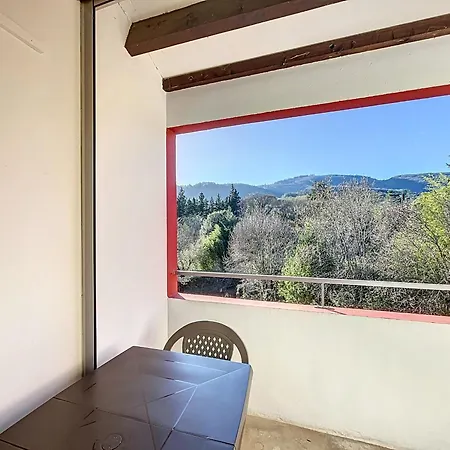 Appartement Bel F2 Avec Terrasse A 650m Des Thermes De Lamalou, Animaux Acceptes, Wifi, Proche Golf Et Randonnees - Fr-1-451-146 *